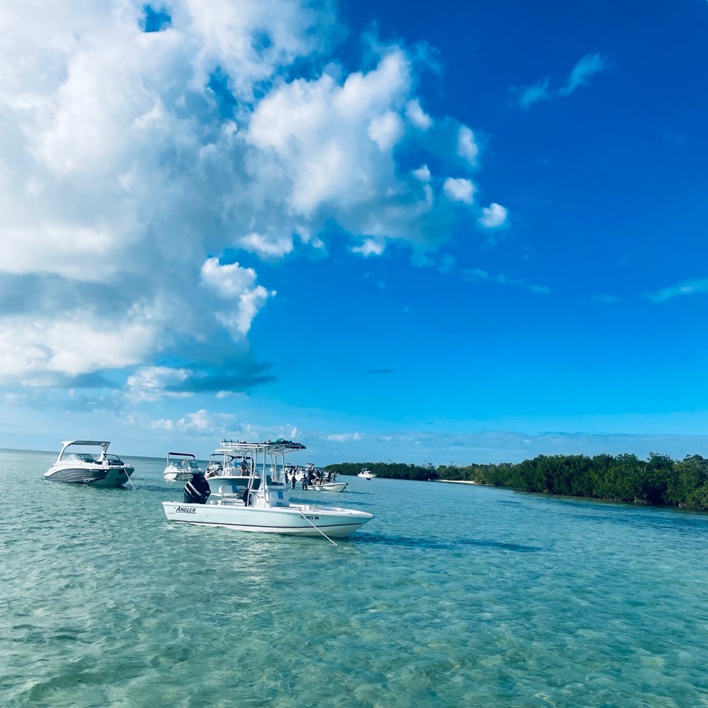 Special order for Julie